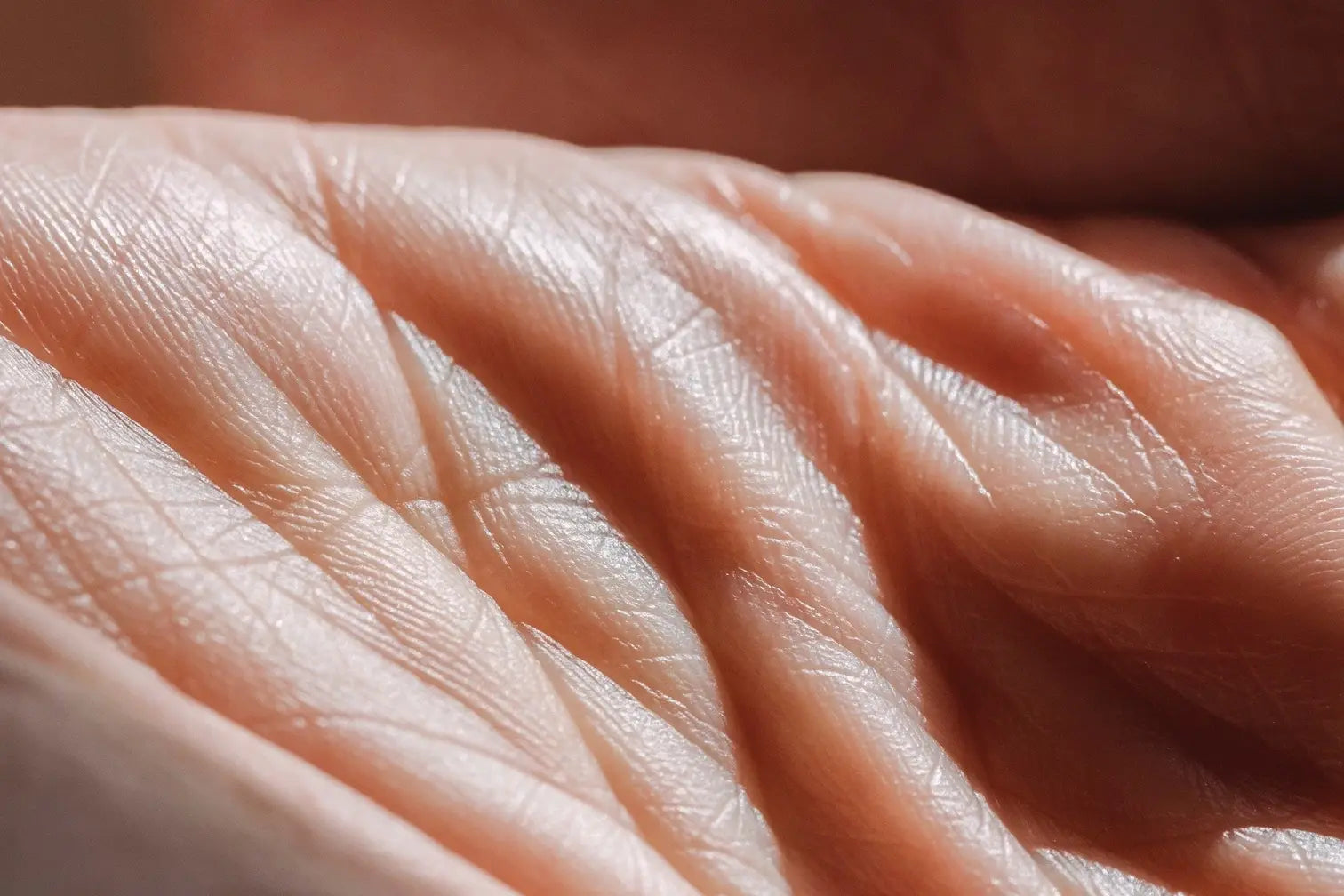 Unlocking the Science of Wrinkles: Causes, Formation, and Prevention