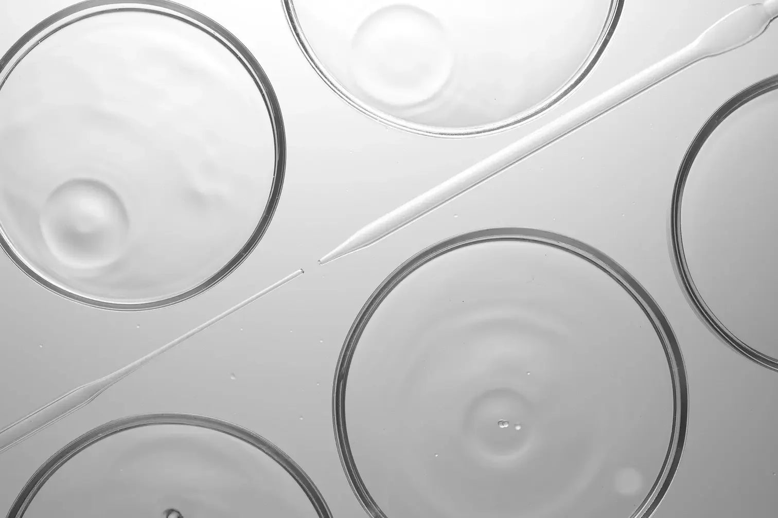 Exploring the Benefits of Glycerin for Skin Health
