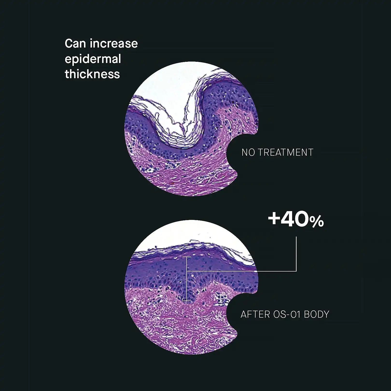 Complete Skin Longevity Regimen