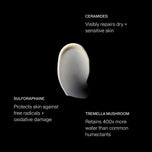 A single OS-01 BODY MOISTURIZER cosmetic smear on a black background with text callouts reading CERAMIDES, SULFORAPHANE, and TREMELLA MUSHROOM.