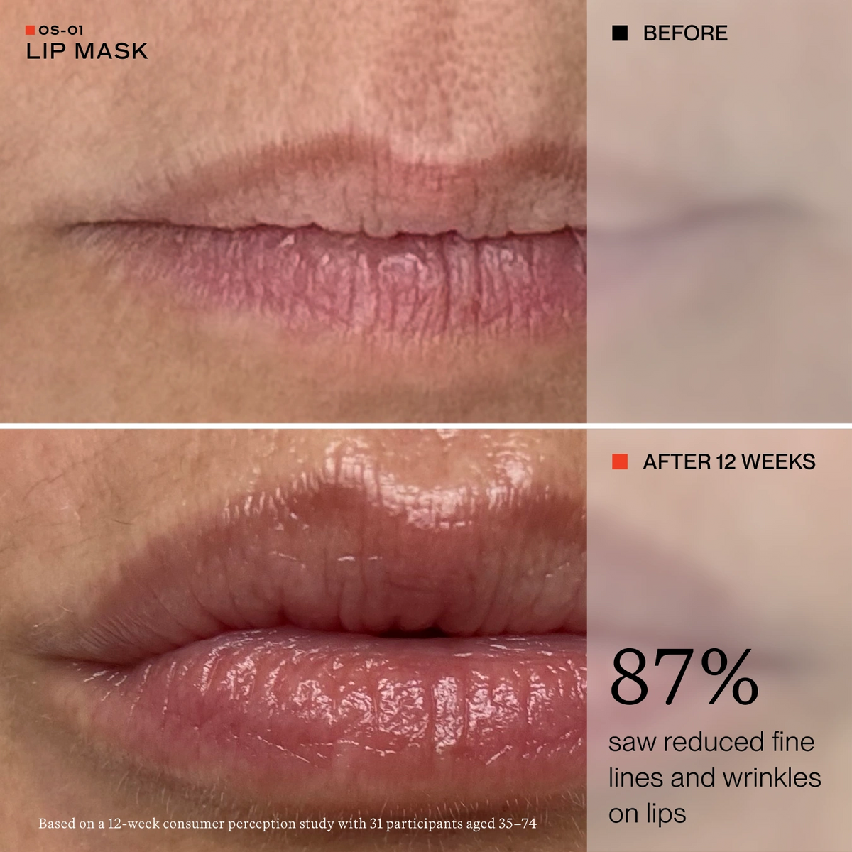 RICH, BODY + LIP PROTOCOL