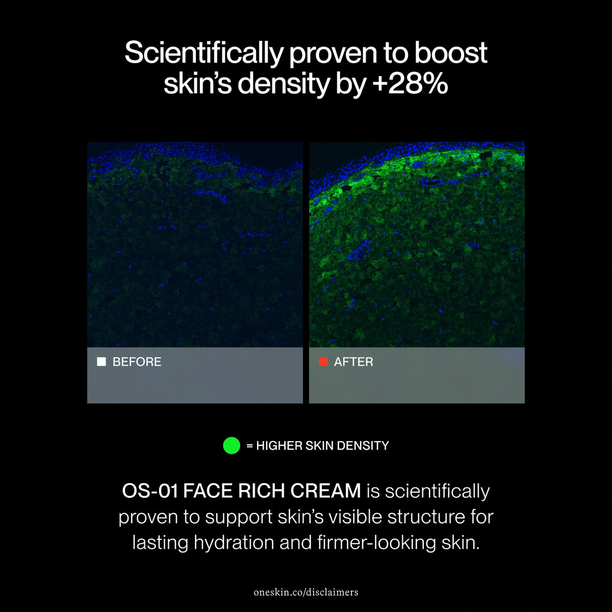 OS-01 FACE RICH CREAM