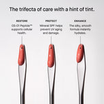 Three cosmetic applicators with text describing their functions on a white background
