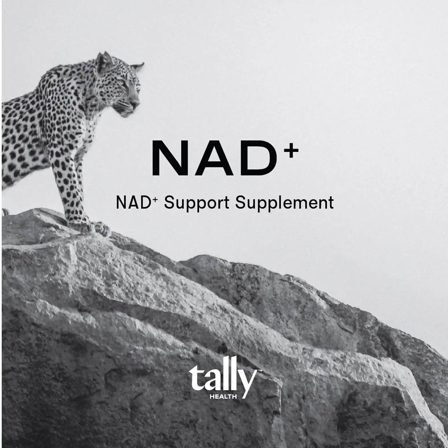 Replacement NAD+ Sample | Tally Health
